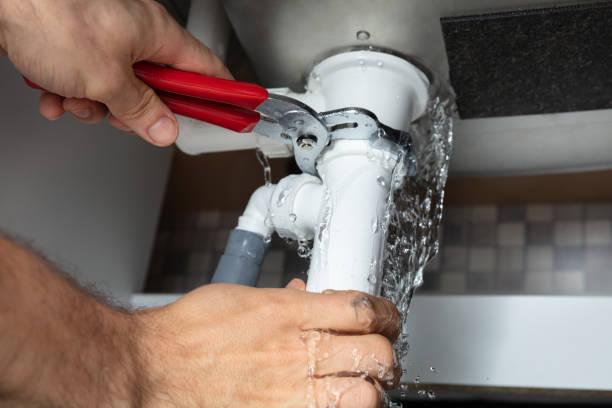 Best Water damage cleanup near me  in Shrewsbury, PA