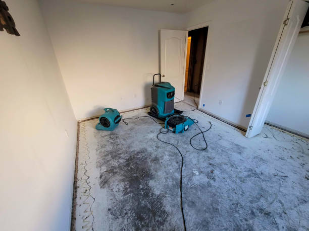 Best Flooded house restoration  in Shrewsbury, PA