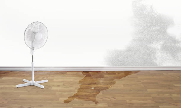 Best Sewage cleanup and water damage restoration  in Shrewsbury, PA