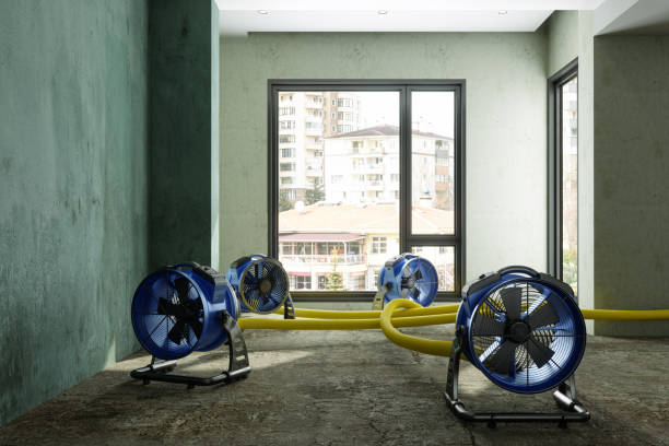 Best Fire Damage Restoration  in Shrewsbury, PA
